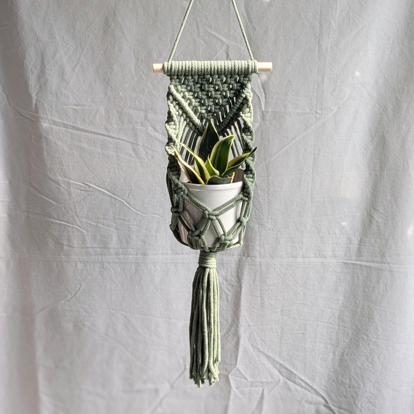 Macrame Wall Planter Workshop | Small Plants | Sheffield | Thursday 10th April 2025