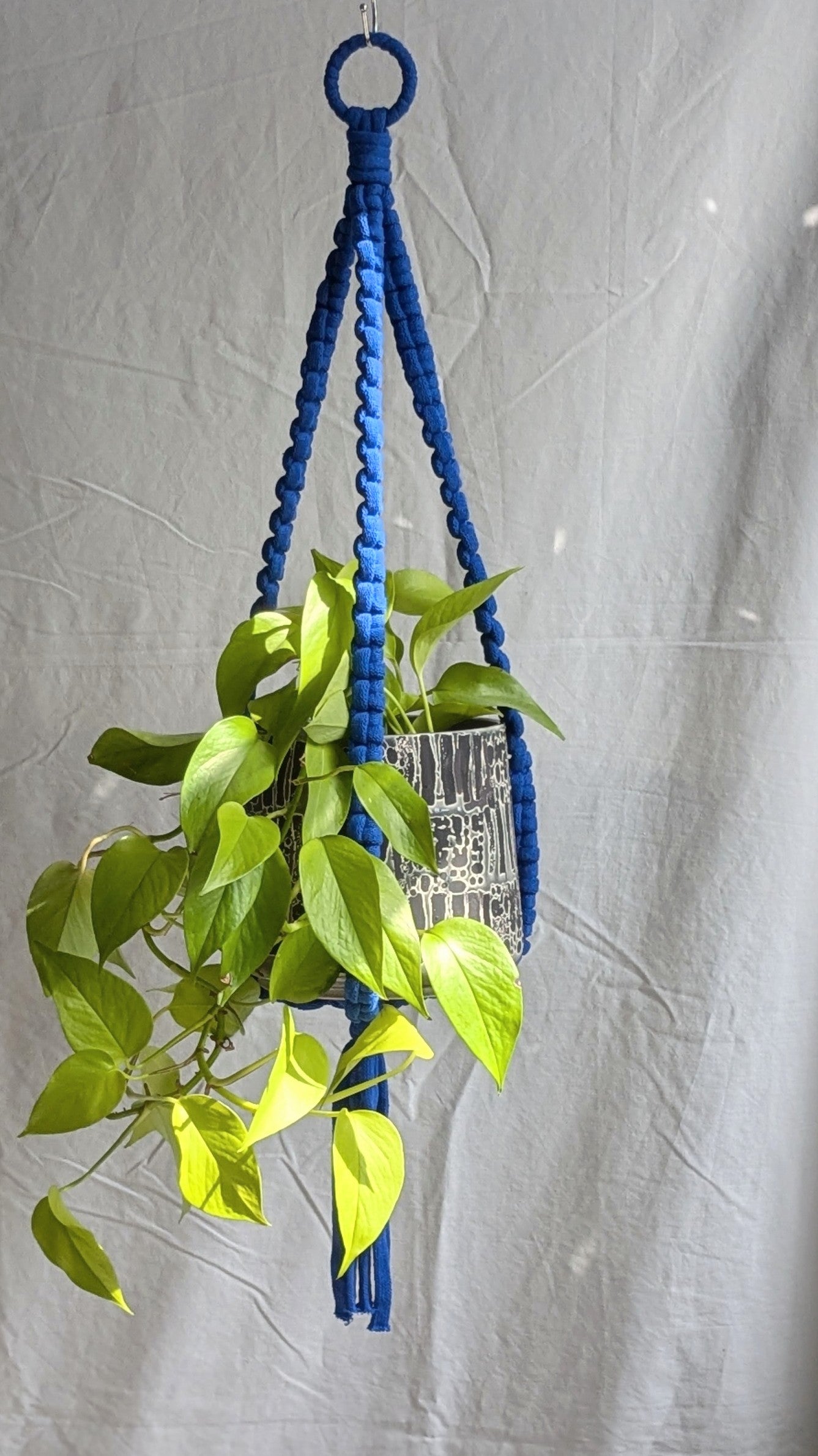 Extra Large Plant Hanger