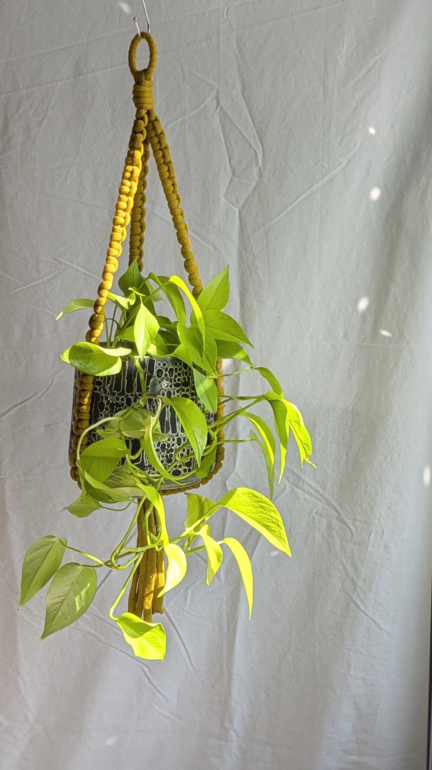 Extra Large Plant Hanger