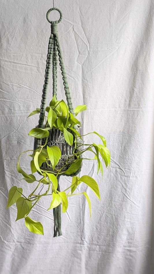 Extra Large Plant Hanger | Super Seconds Festival