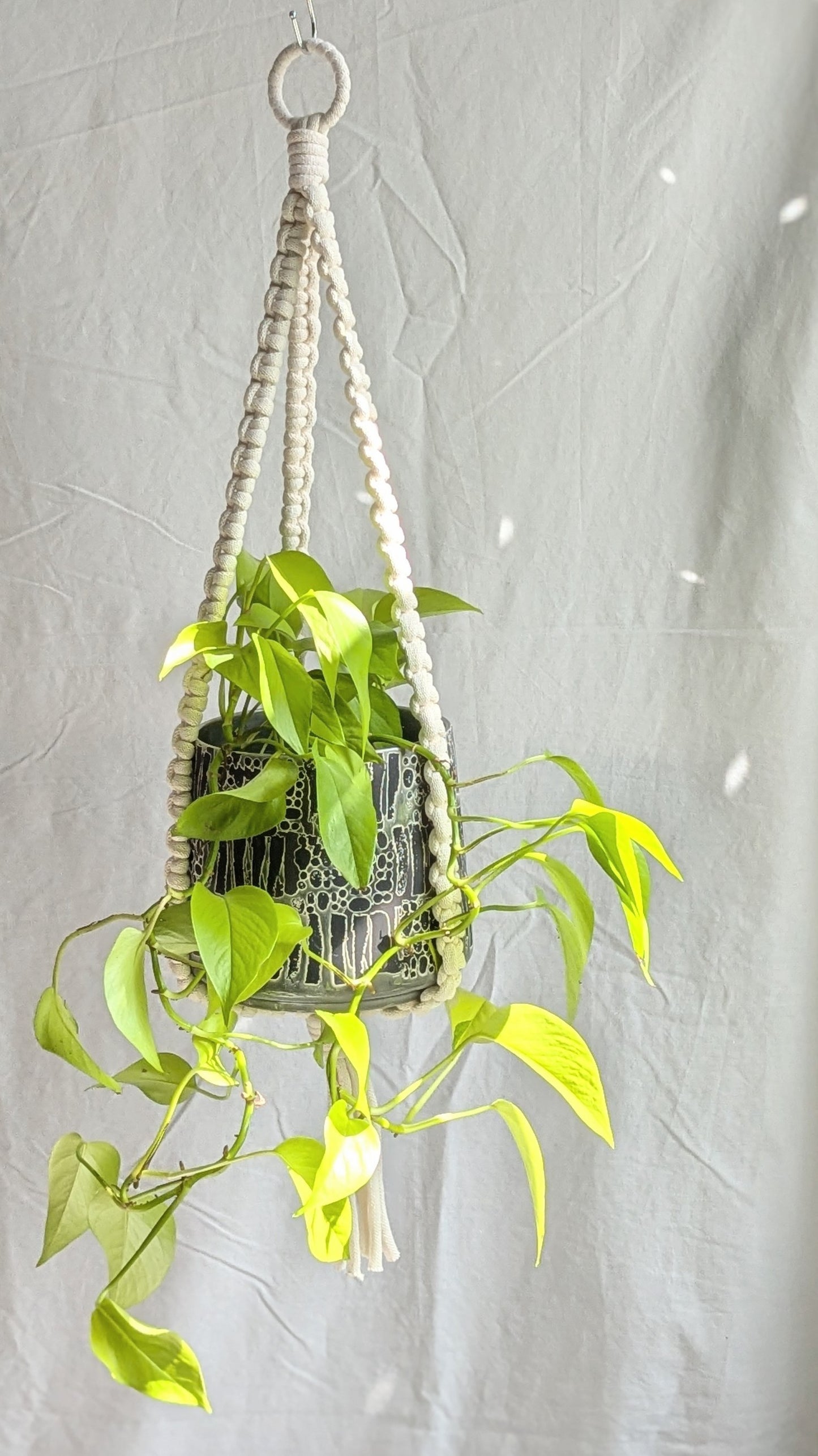 Extra Large Plant Hanger