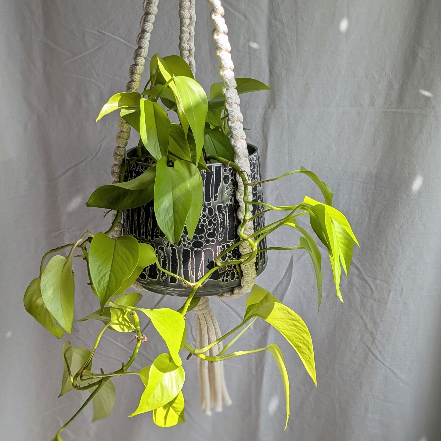 Extra Large Plant Hanger