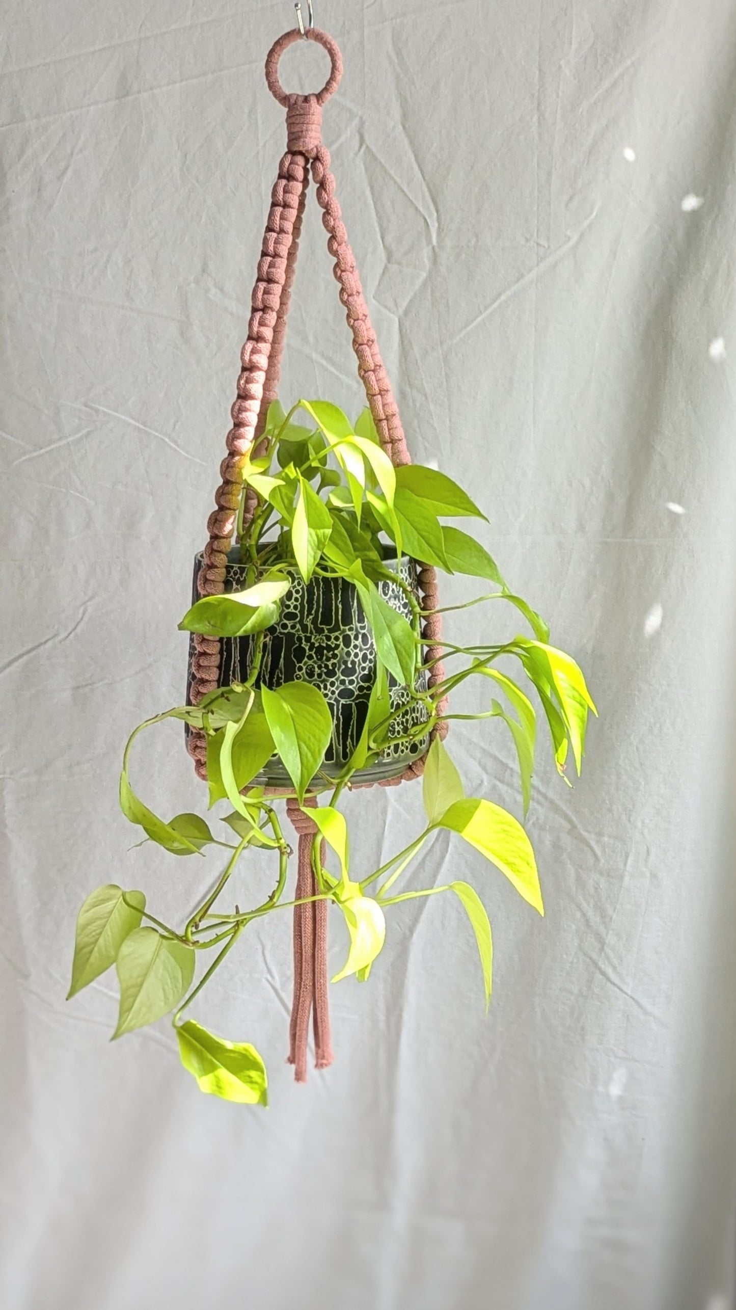 Extra Large Plant Hanger