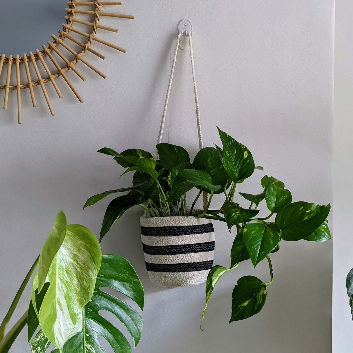 Stripe Hanging Basket | Super Seconds Festival