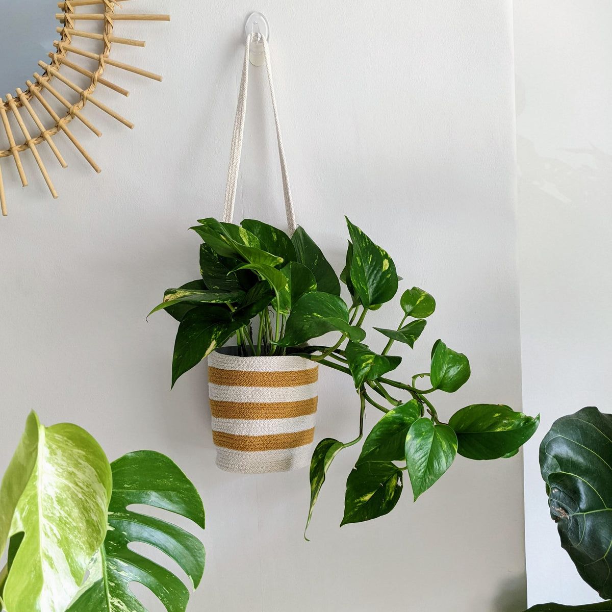 Stripe Hanging Basket | Super Seconds Festival