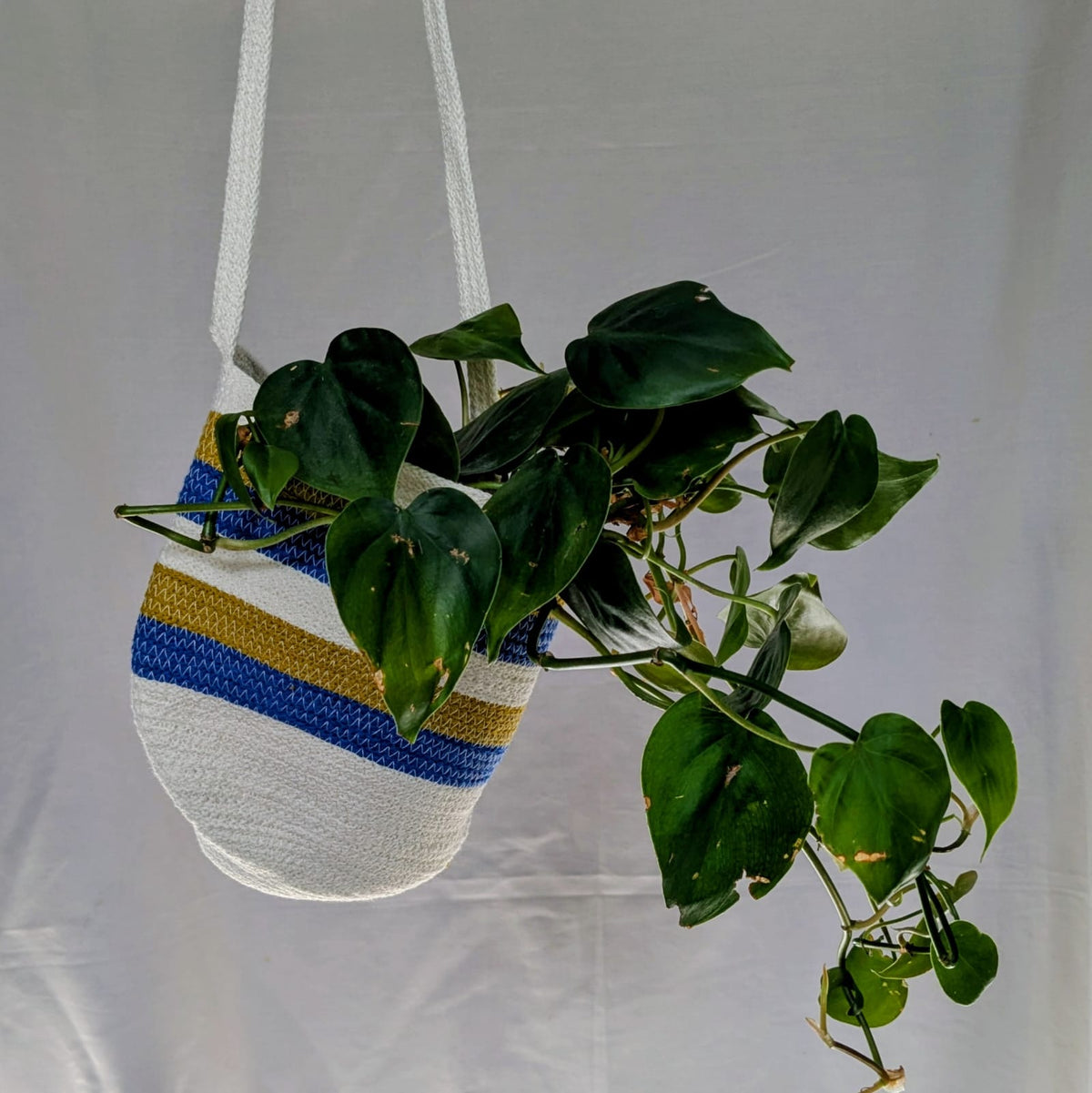 Stripe Hanging Basket | Super Seconds Festival