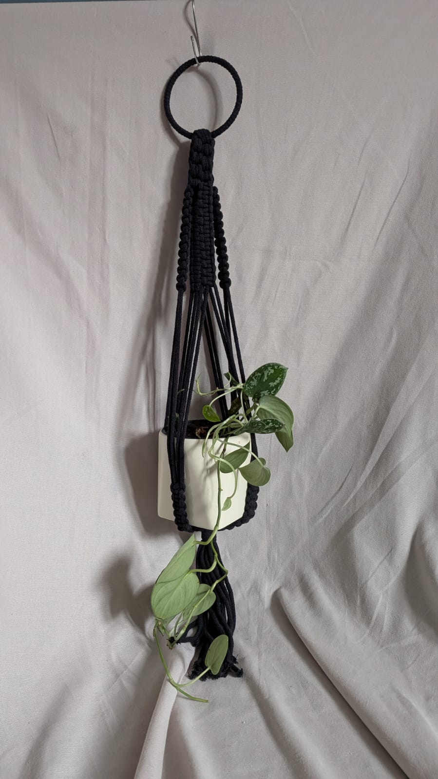 Large Macrame Plant Hanger | Super Seconds Festival