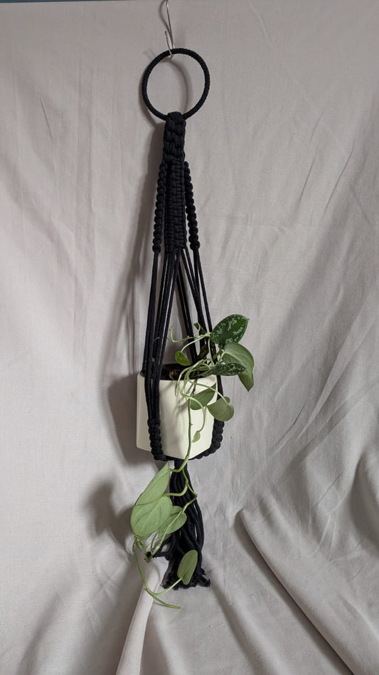 Large Macrame Plant Hanger | Super Seconds Festival