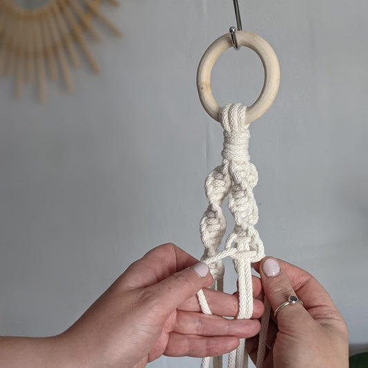 Macrame Plant Hanger Workshop | Small Plants | Sheffield | Wednesday 17th September, 7pm