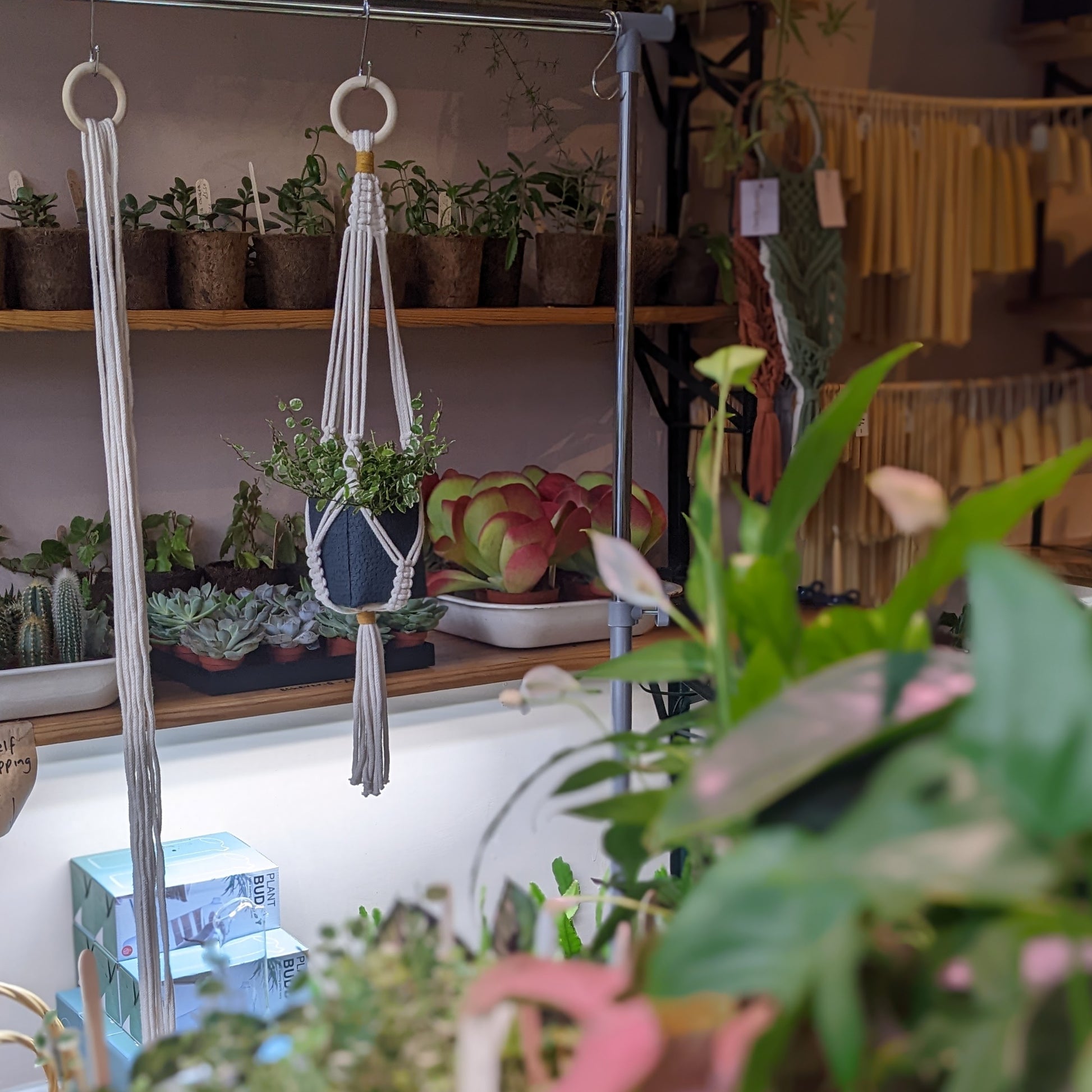 Macrame plant hanger workshop with CharKnots, based in Sheffield